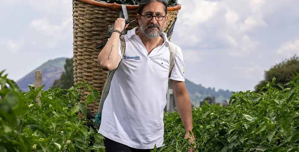 Organic farms avoid toxic inputs, improve soil health, grow clean, sustainable food that supports nature.